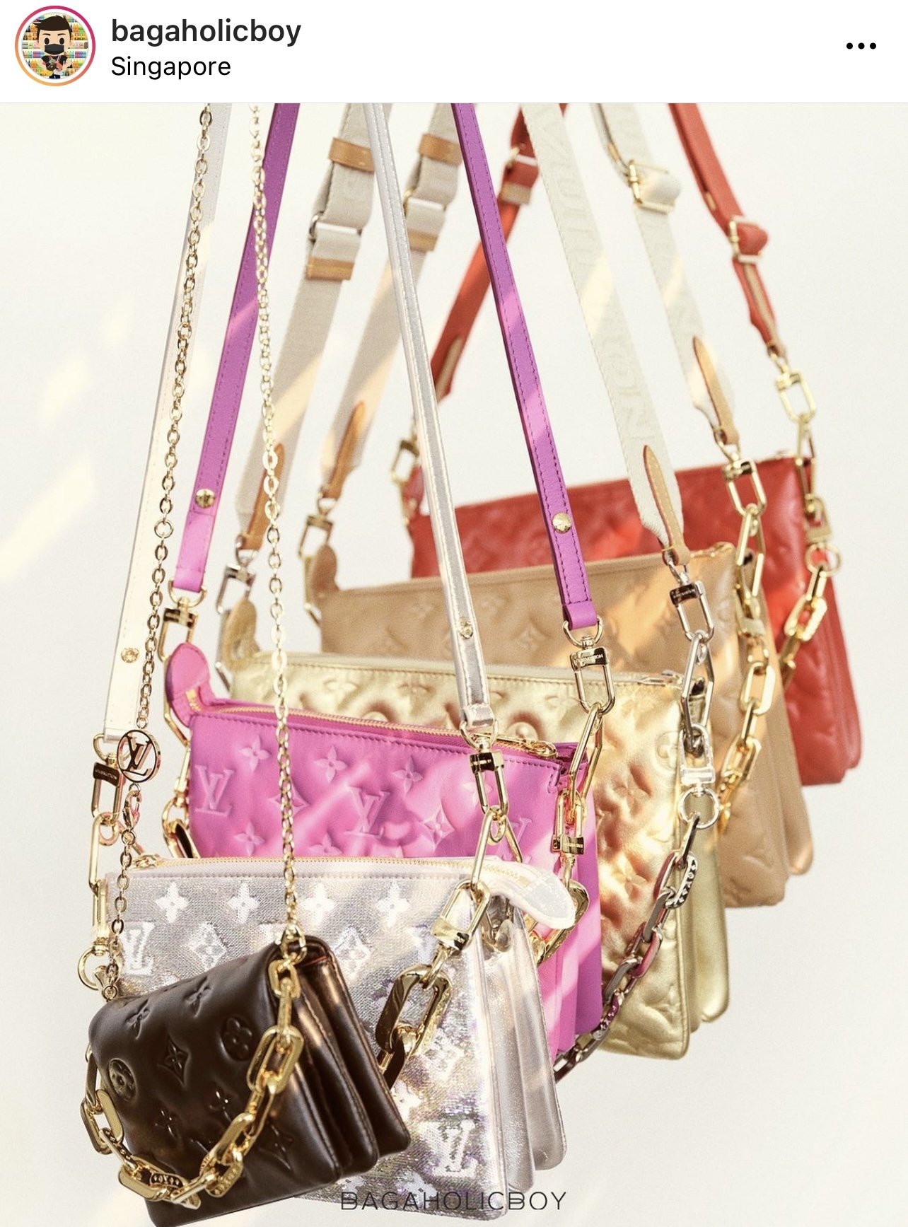 Louis Vuitton Coussin Bag Collection
