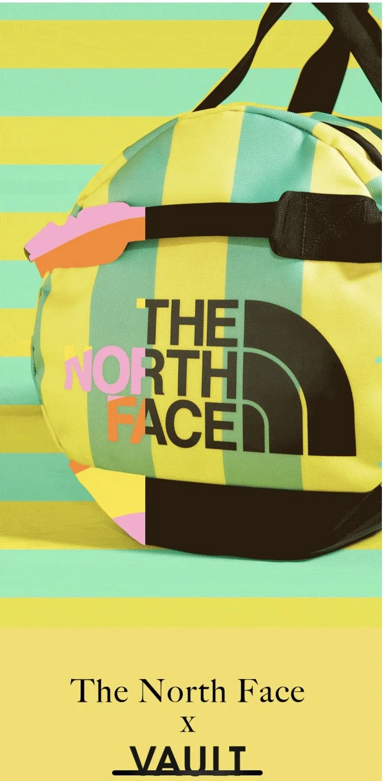 The North Face X The Vault of GUCCI
