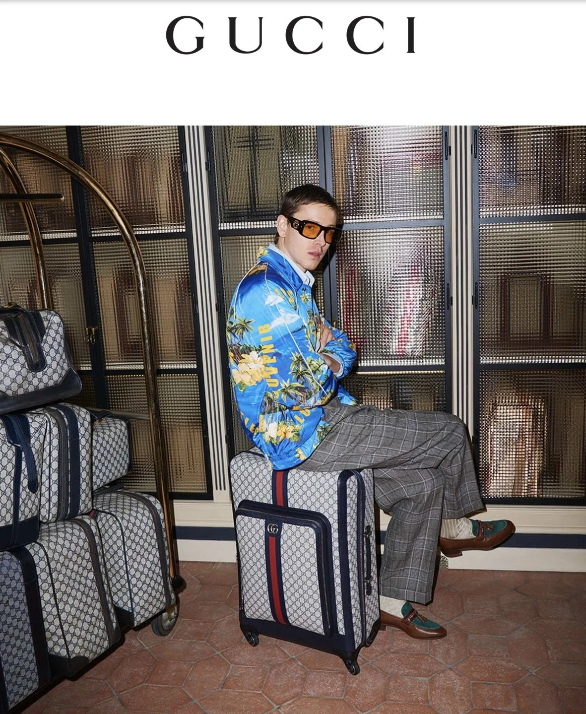 Gucci Luggage 2022