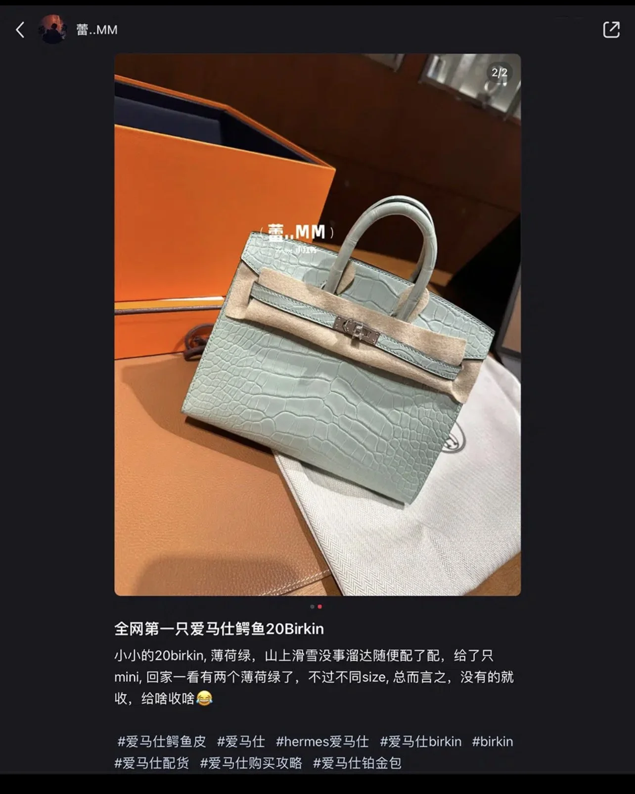 New Hermes Birkin 20cm HAS BEEN SPOTTED!