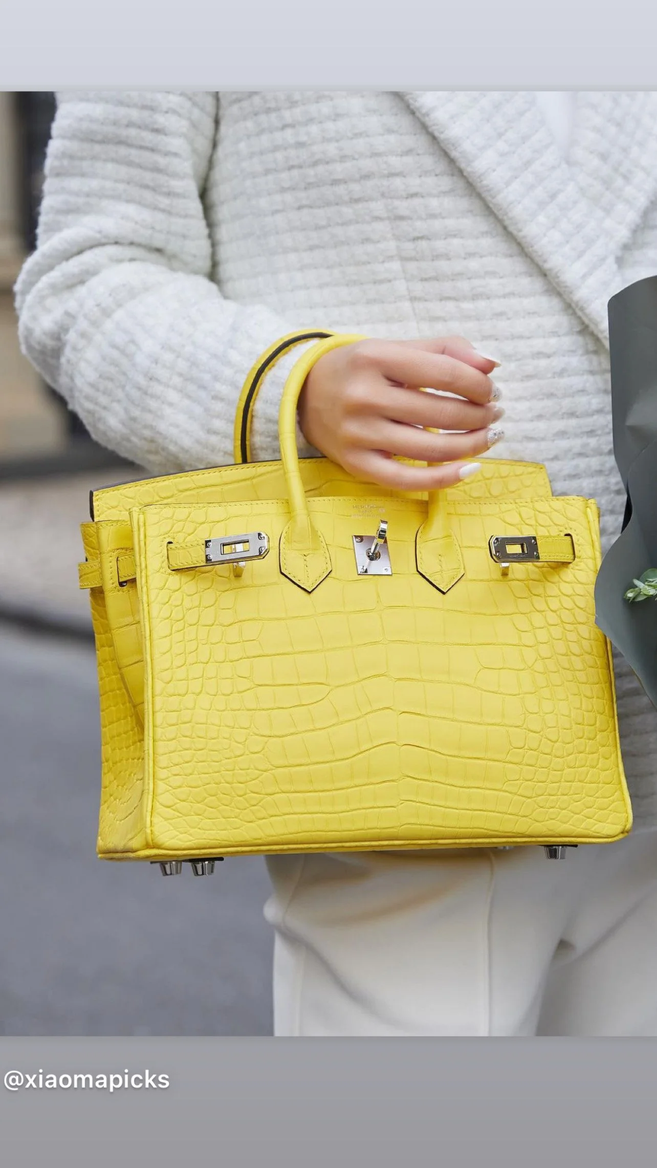 Mimosa Yellow (M9) is HERMES Hottest Color for 2023