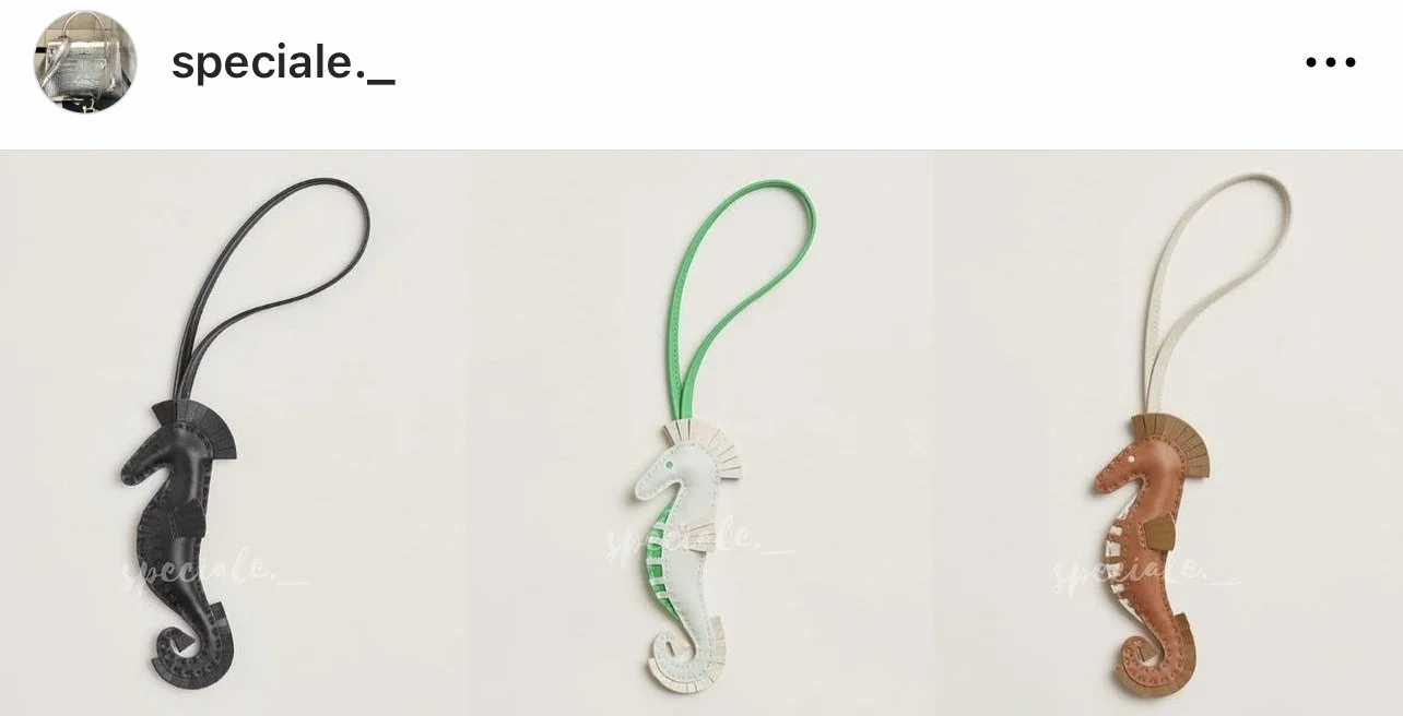 New Hermes Seahorse Bag Charm 