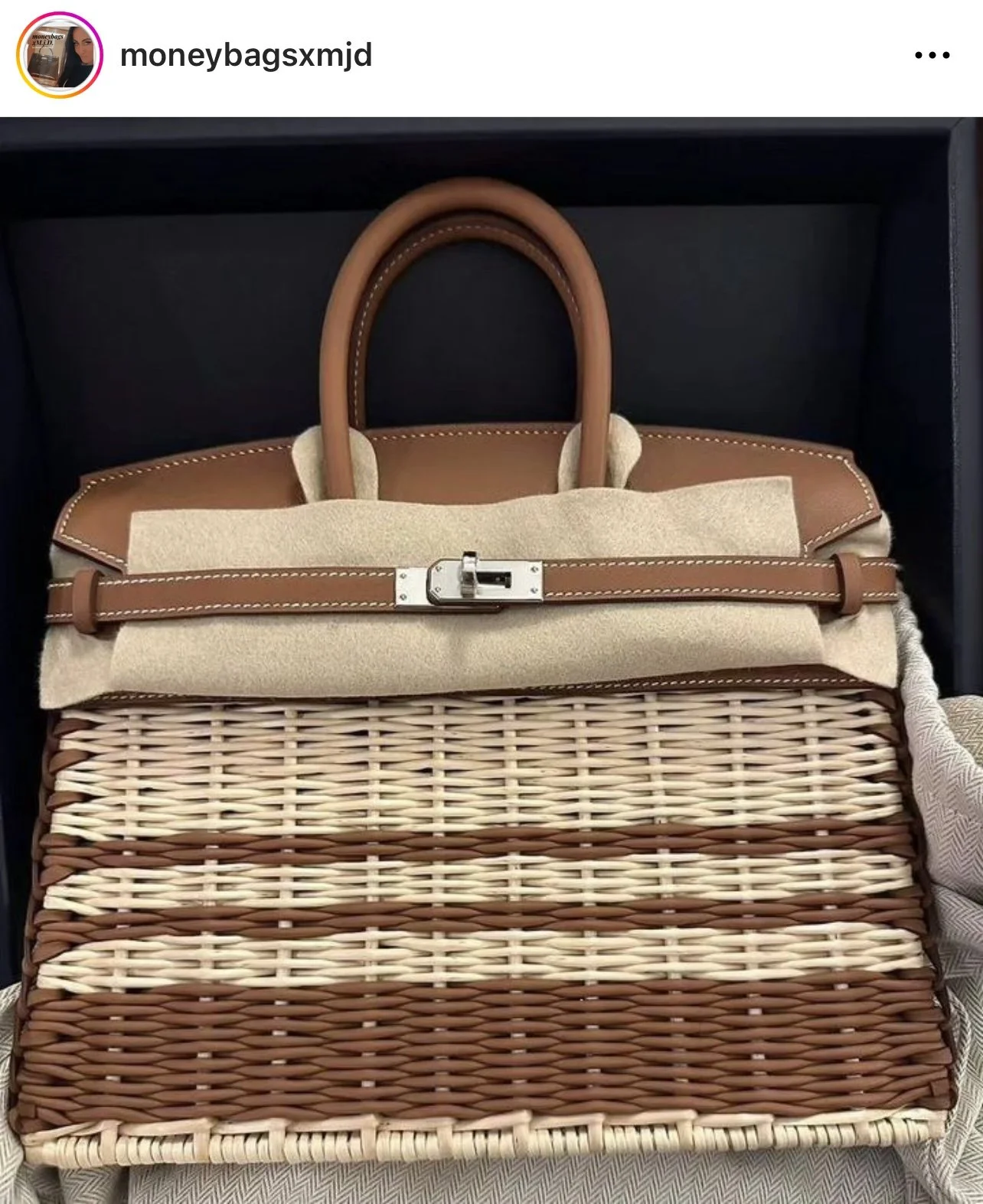 NEW Hermes Picnic Stripes Birkin 25 2023