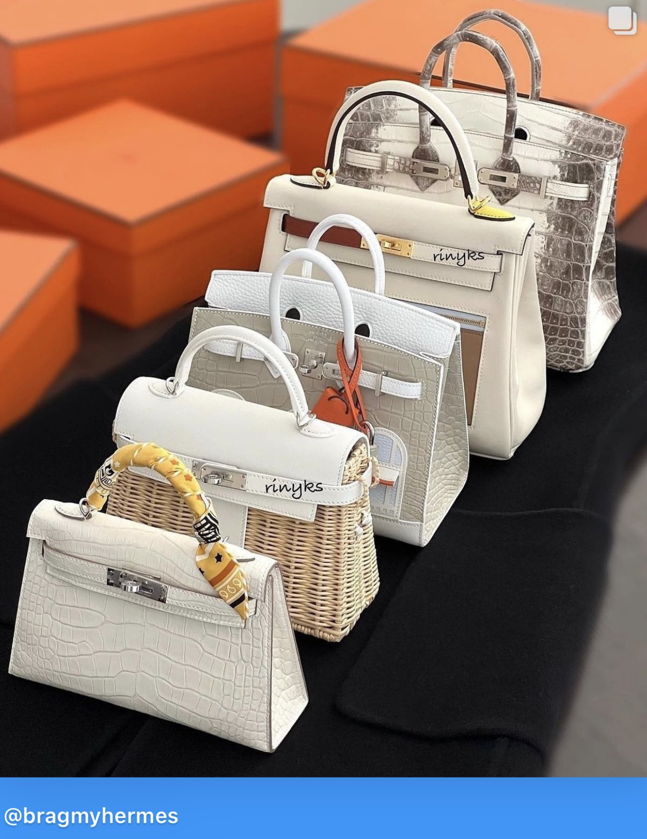 Hermes Rarest Bags 2024