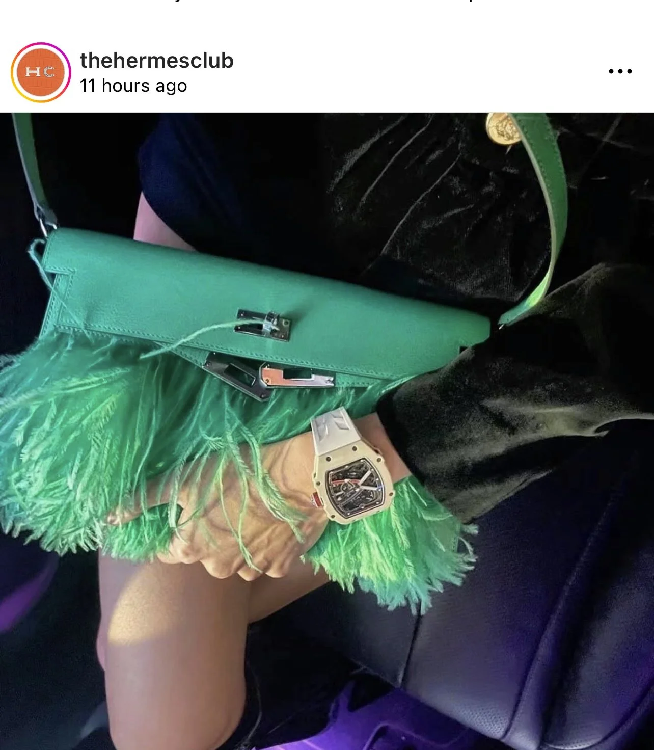 NEW Hermes Elan Foile in Vert Comic