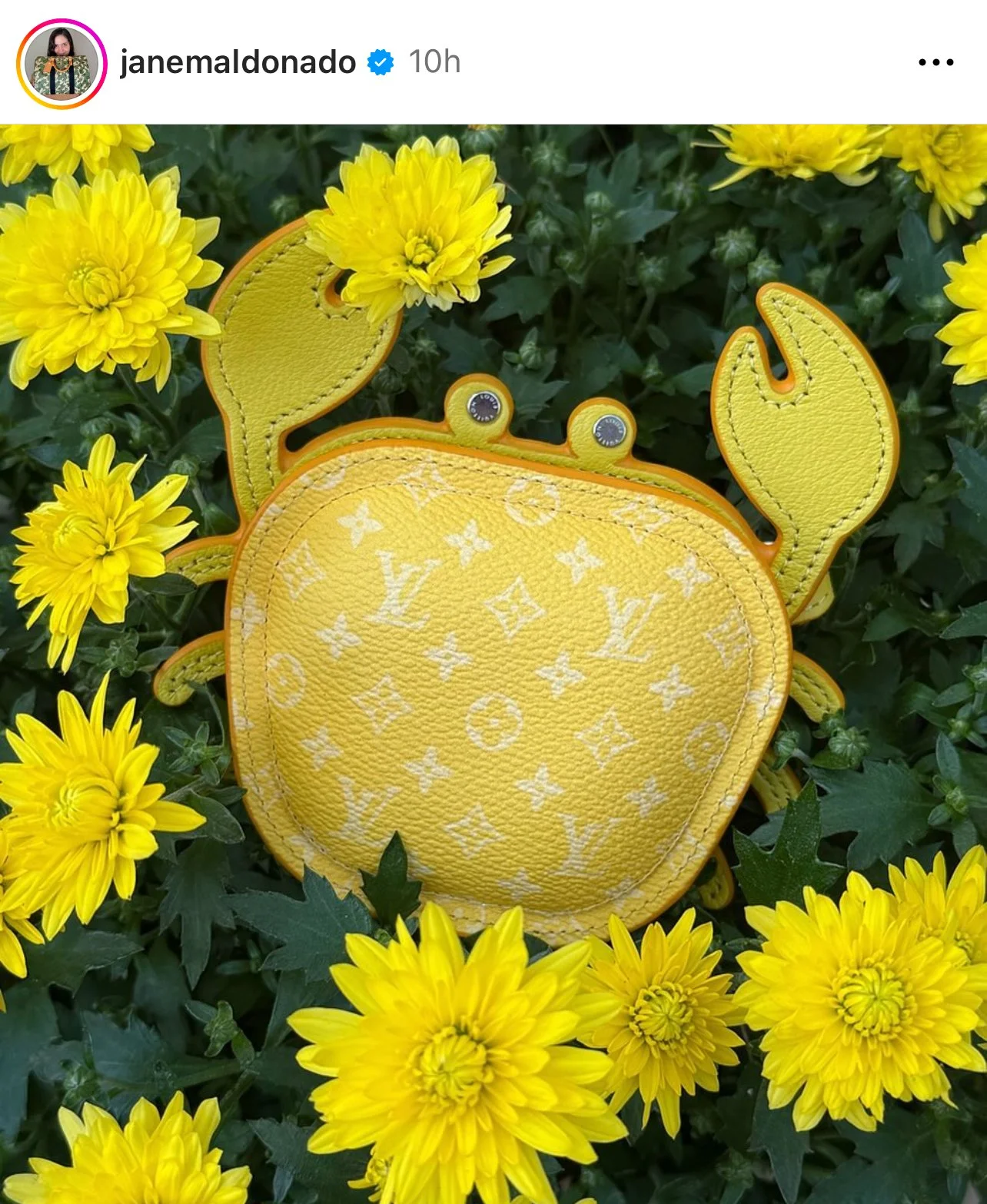 Louis Vuitton Monogram Crab Charm 