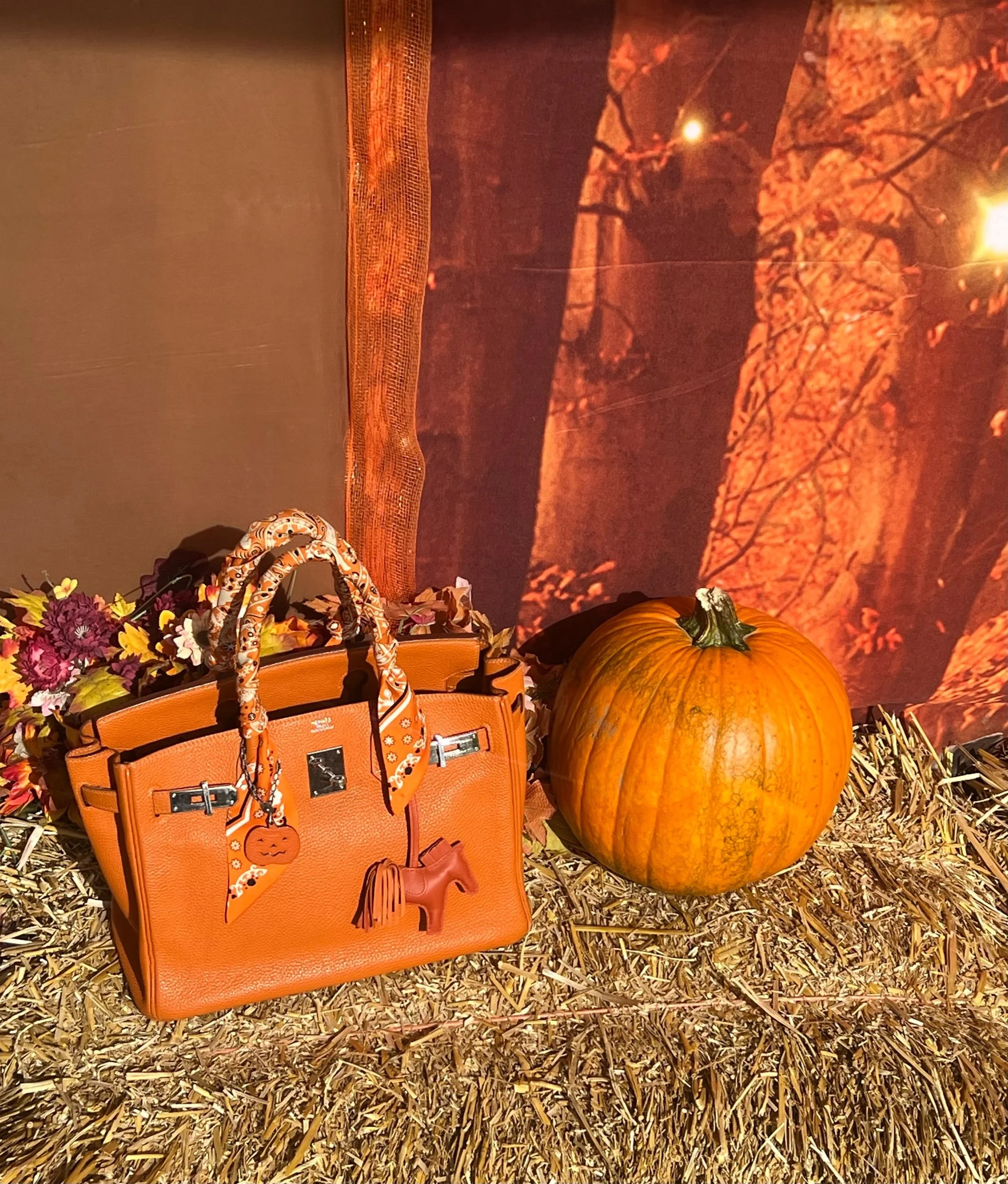 Happy Birkin Halloween 2024