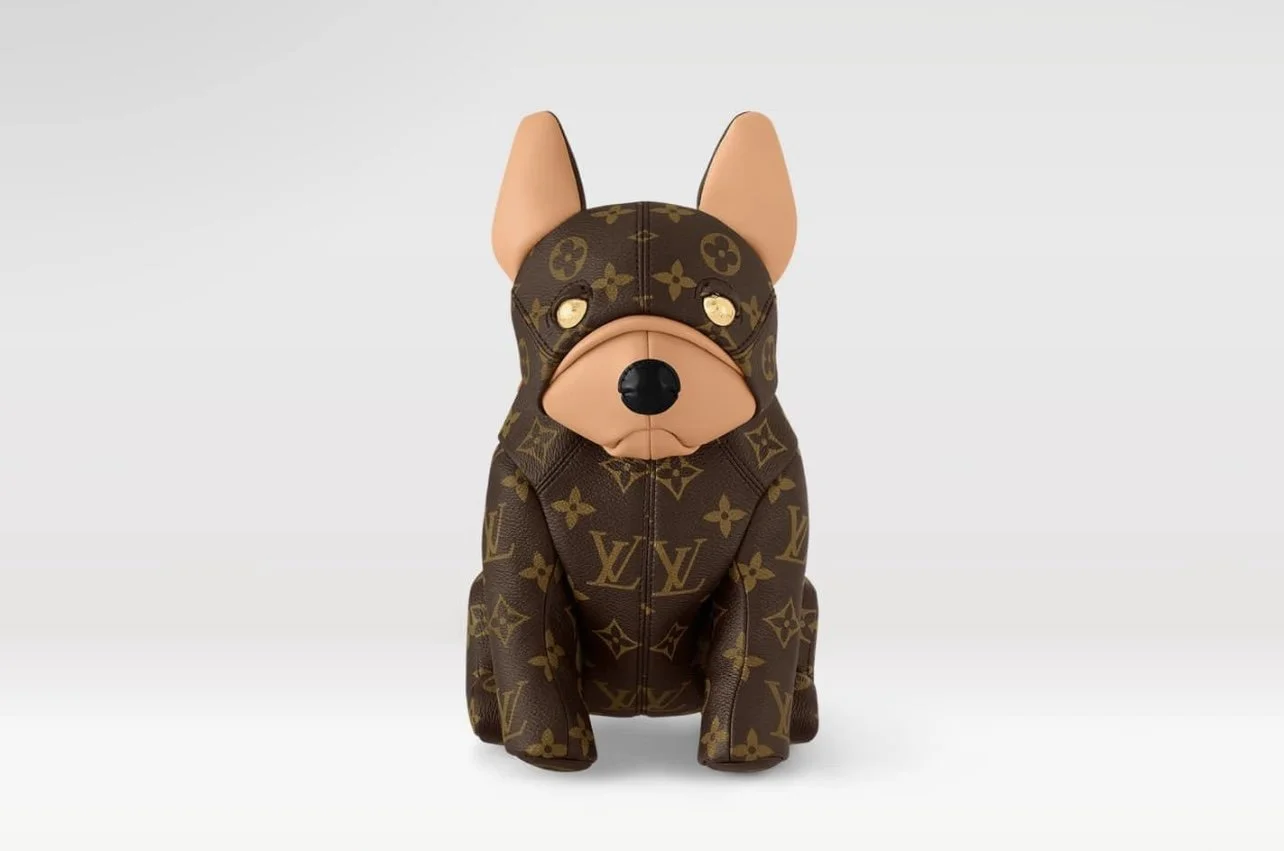 New LOUIS VUITTON Pooch Bag