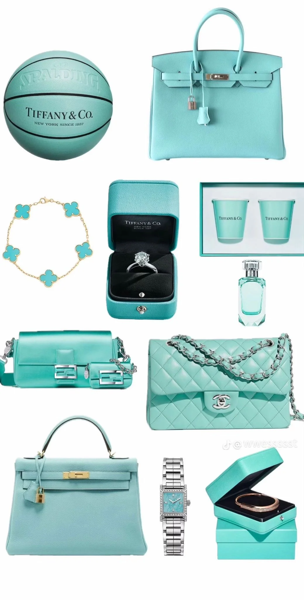 Tiffany Blue in Full Bloom