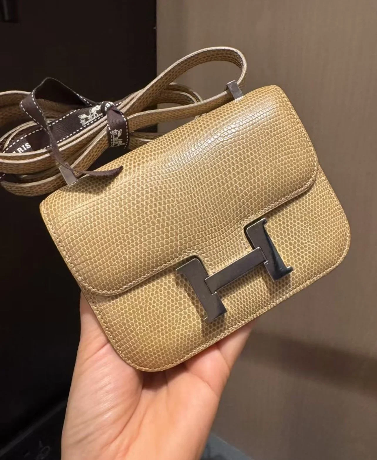 RARE Hermes Micro Constance Ficelle Lizard Bag