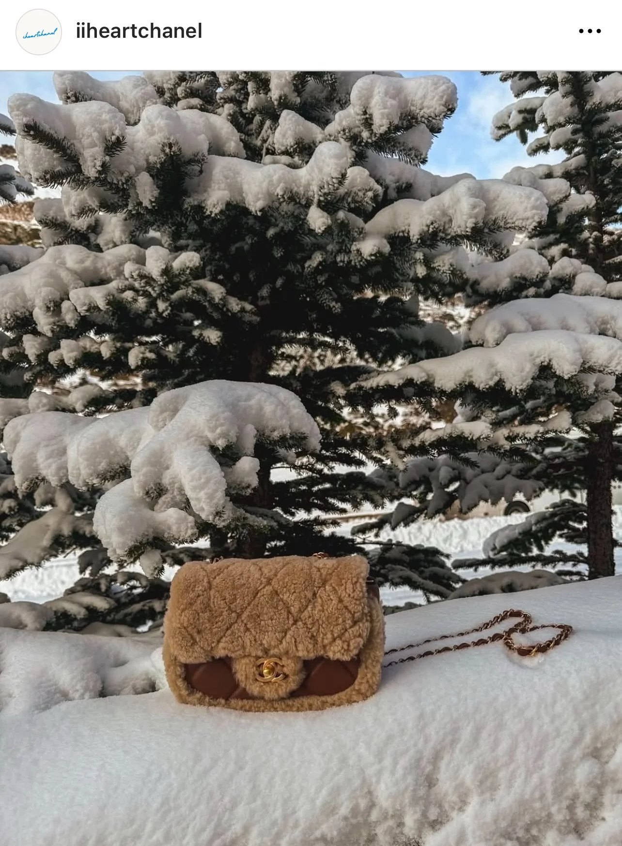 Chanel Brown Shearling Flap Bag 2024 