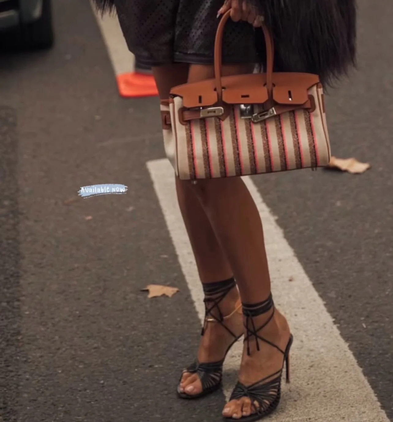 Hermes Shoulder Birkin Toile Limited Edition