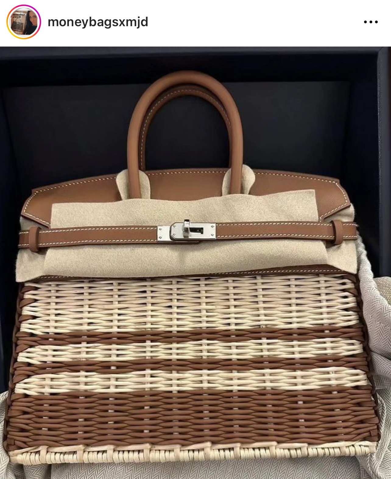 NEW Hermes Picnic Stripes Birkin 25 2023 — Collecting Luxury