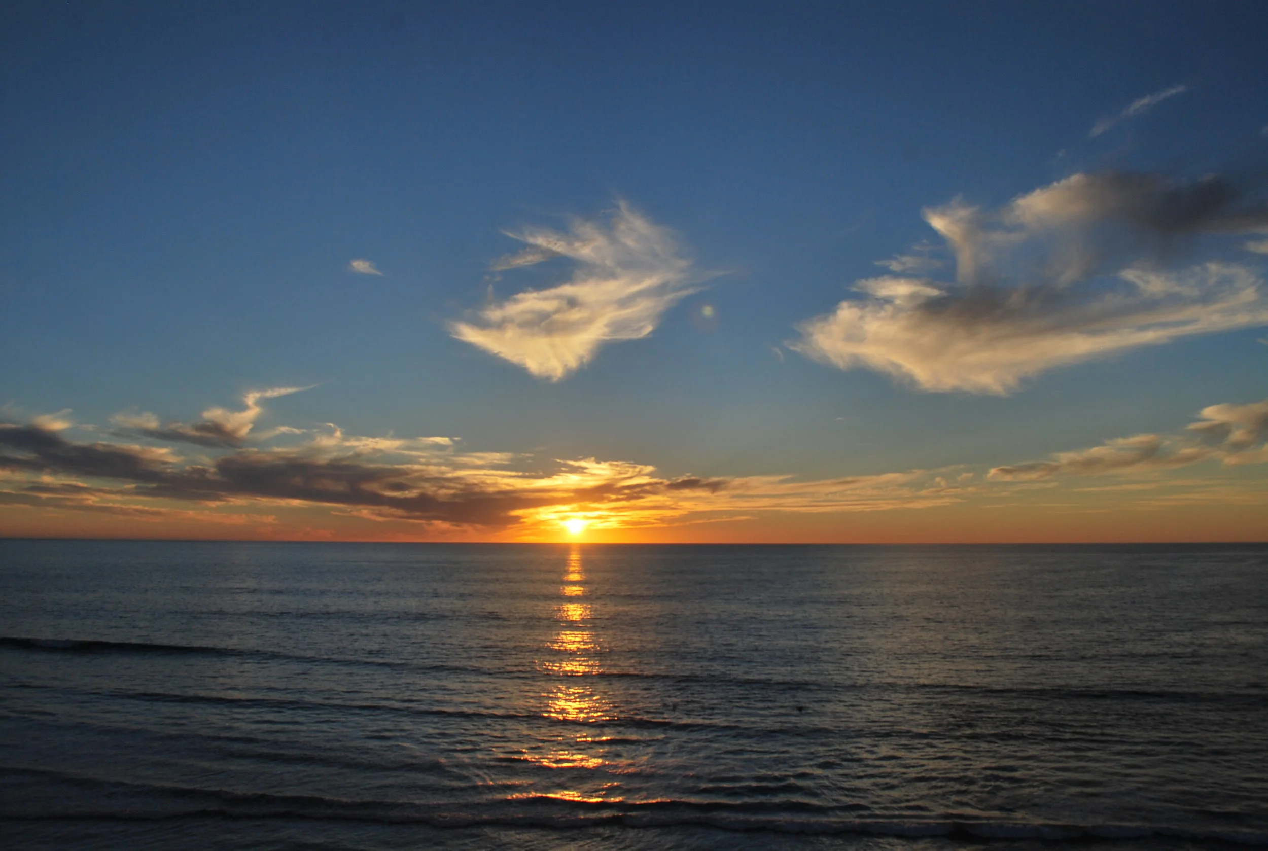 DSC_0028.JPG