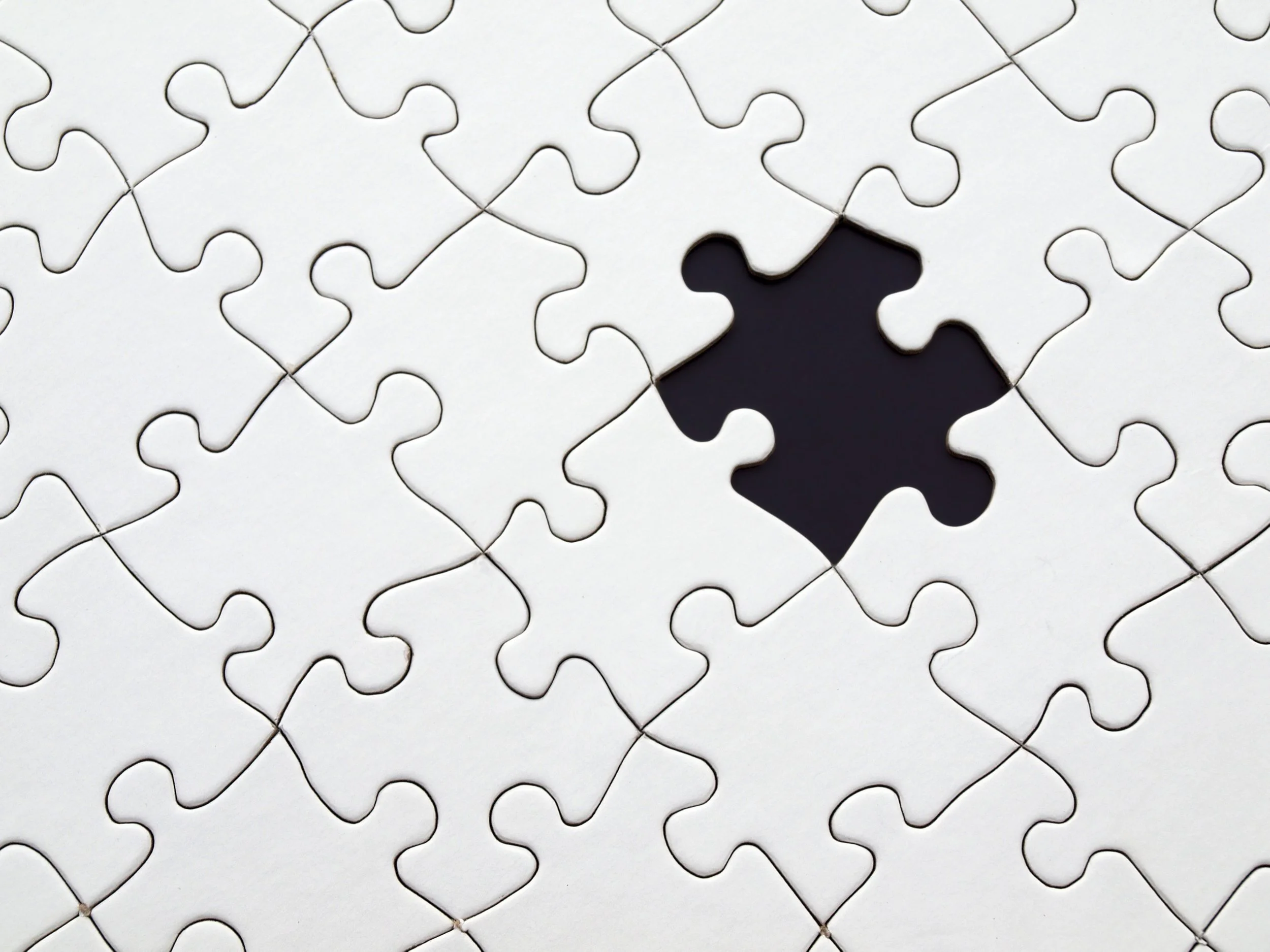 puzzle piece.jpeg