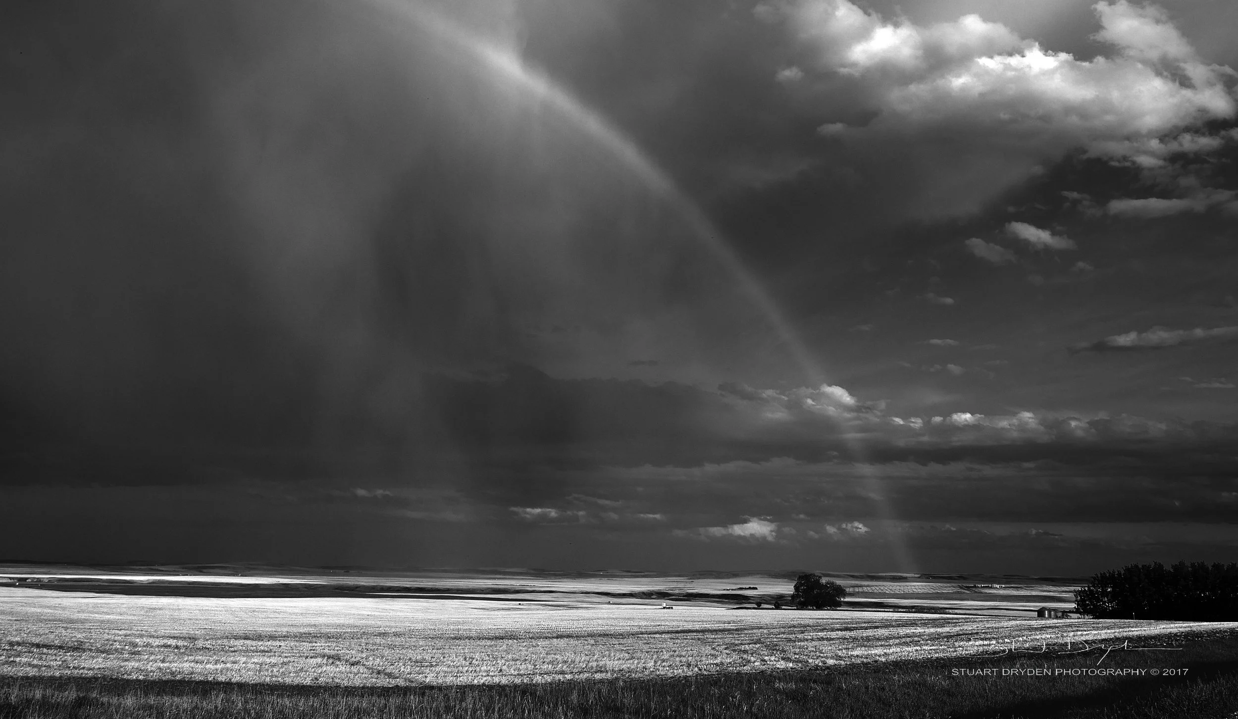 B&W Rainbow
