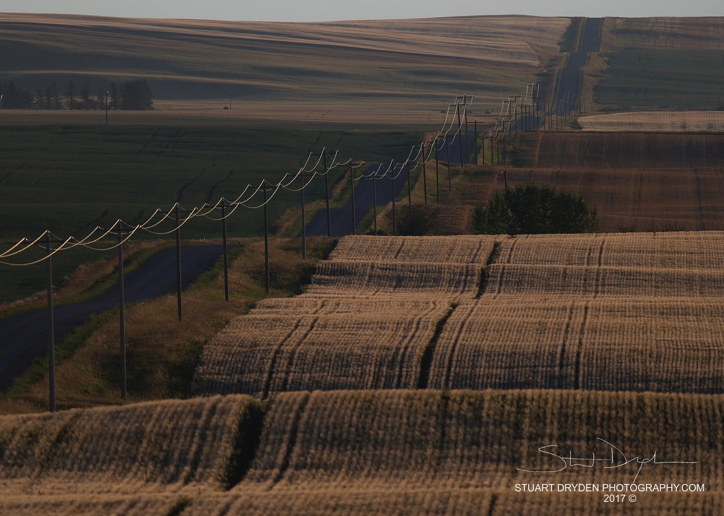 Rolling Road