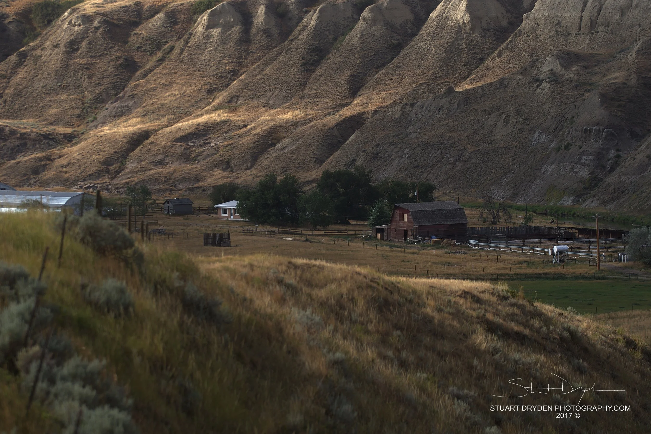 Down In The Coulee