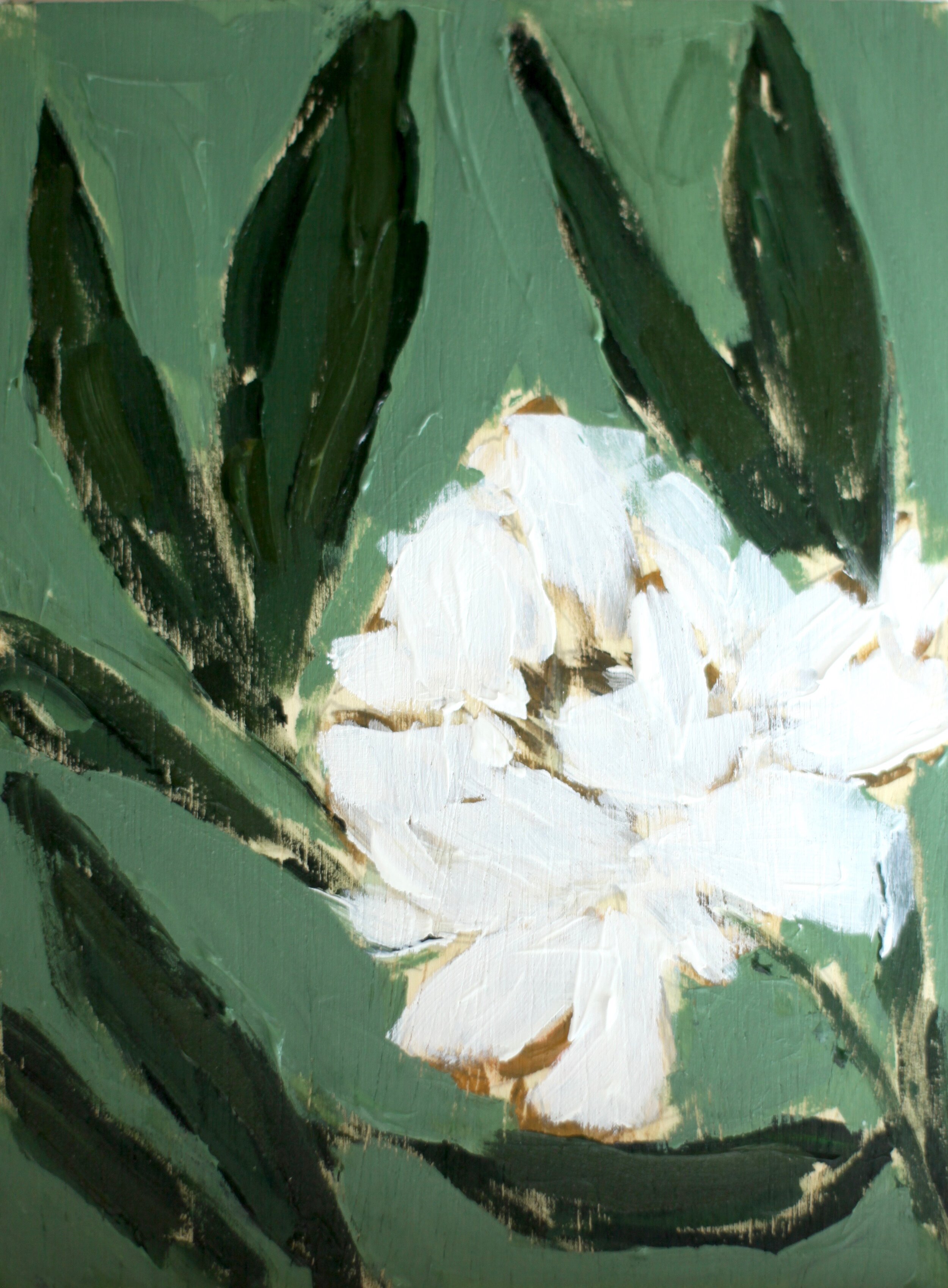 Jewl 5 1/2 x 7 1/2 195.00