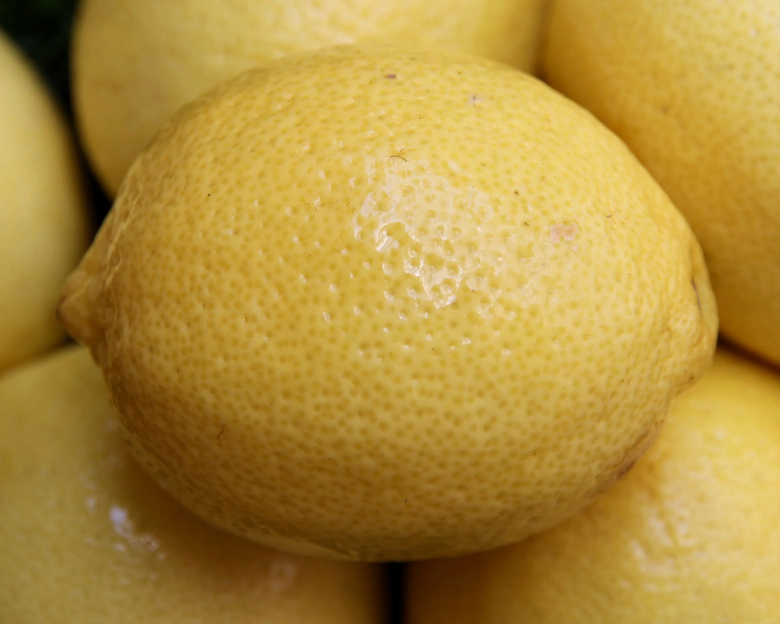 lemons.jpeg