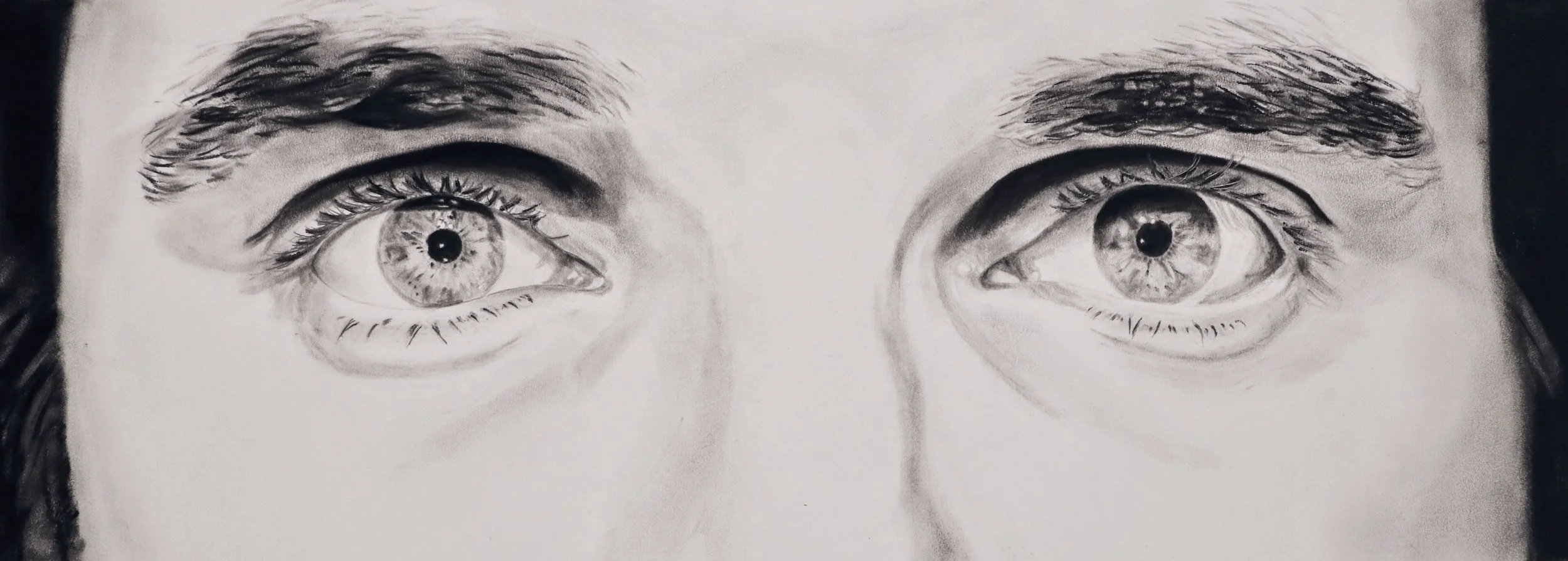 "Eyes" Charcoal on paper, commission 10x24"