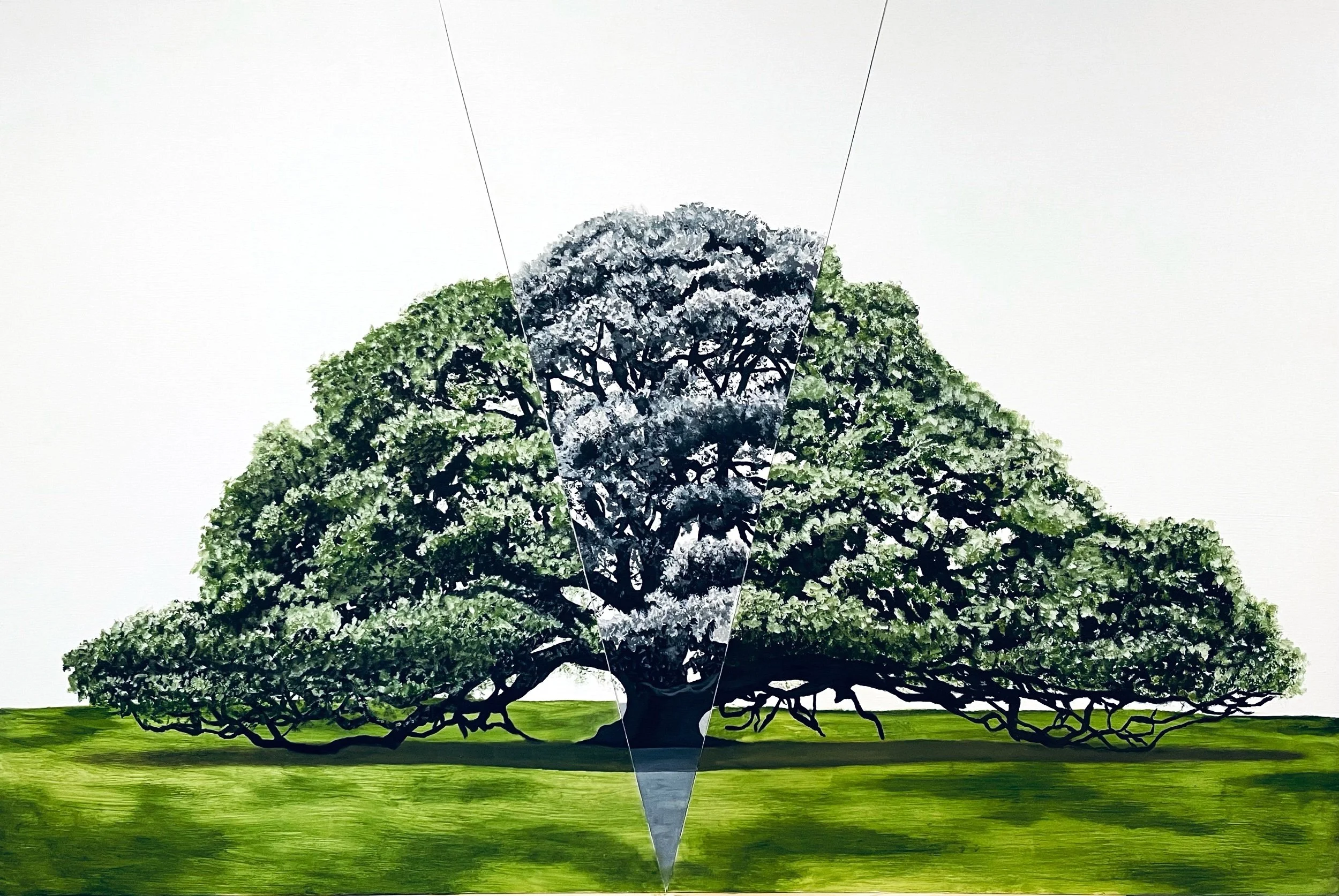  3 oil painted wood panels 48x72” 