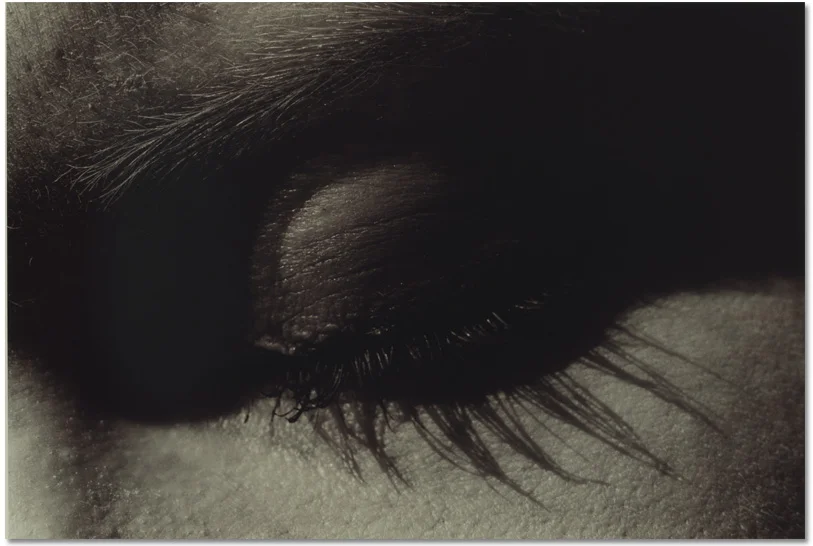 Shesaidred, 1179_30A, Medium: Darkroom Chromogenic Print.