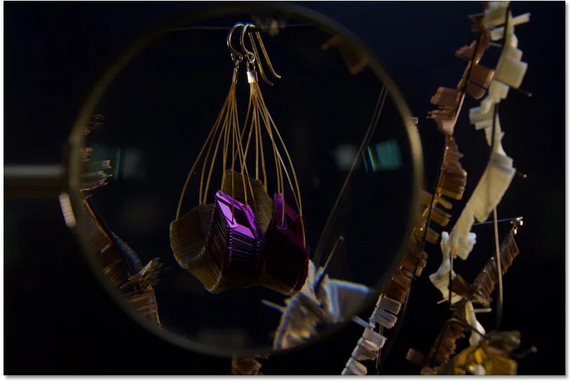 Dark Fruit, Shesaidred Photography with Giovanna Torrico, Colibri Lux Hyperbola Earrings, gelatin sequins.