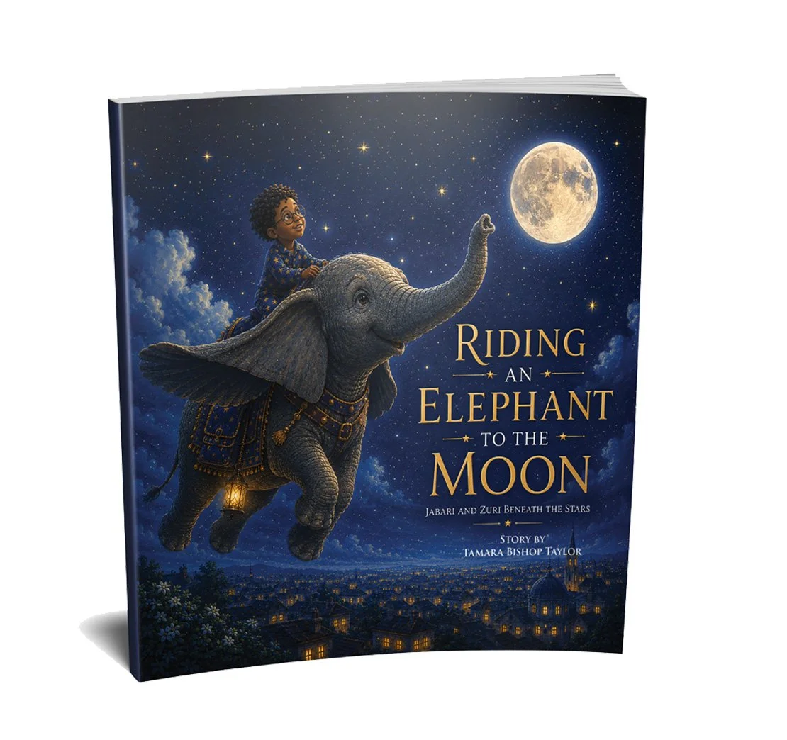 Riding An Elephant to the Moon