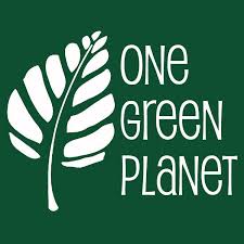onegreenplanet.jpeg