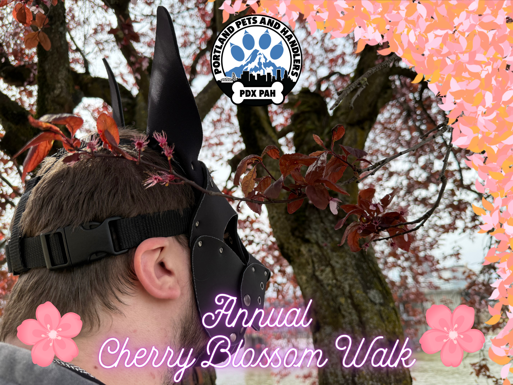 Annual Cherry Blossom Walk.png