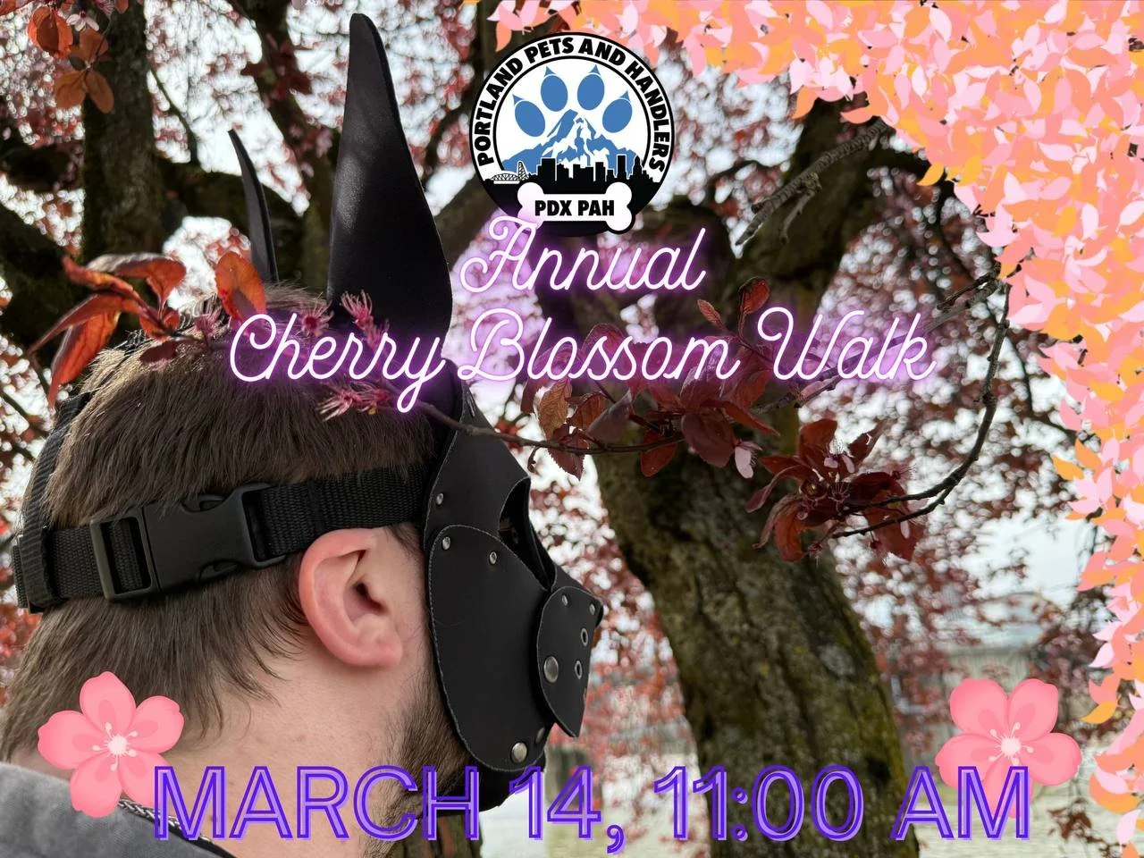 Cheryy Blossom Walk FINAL.jpg