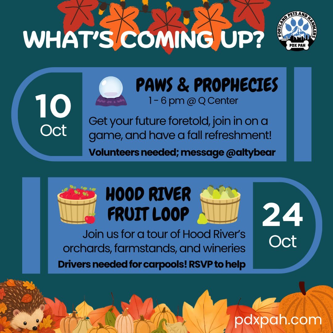 Events Autumn 2026.jpg