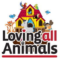 logo2.png