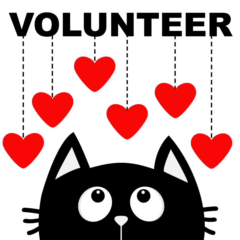 volunteerImage_NBG.png