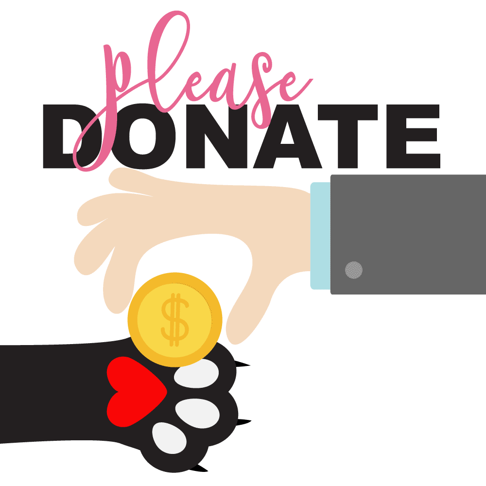 donateImage_NBG.png