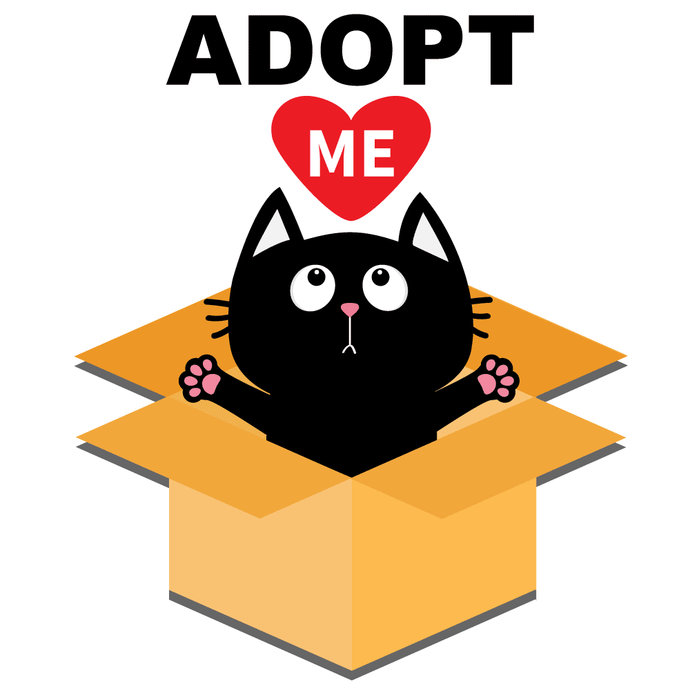 adoptImage_NBG.png