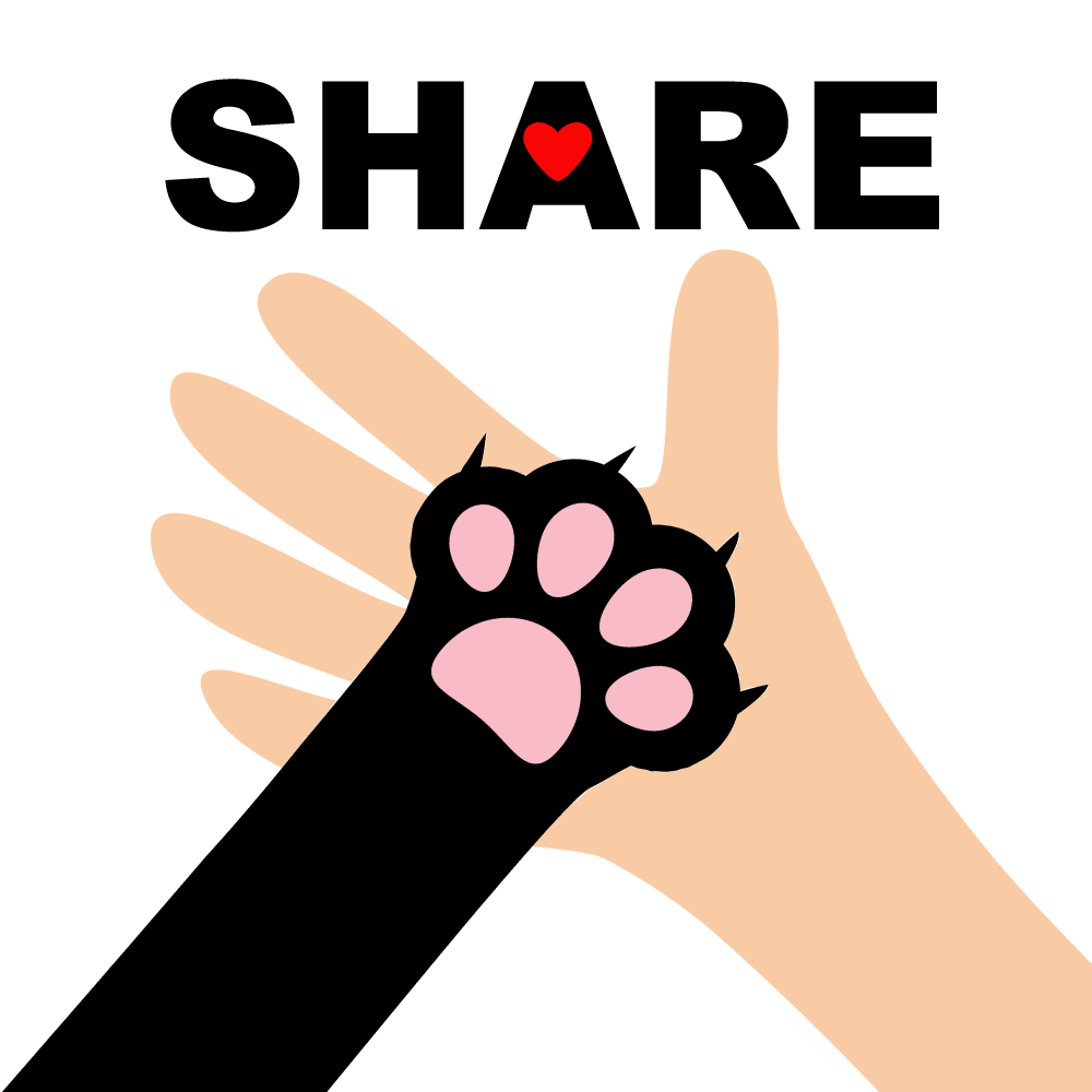 shareImage_NBG.png