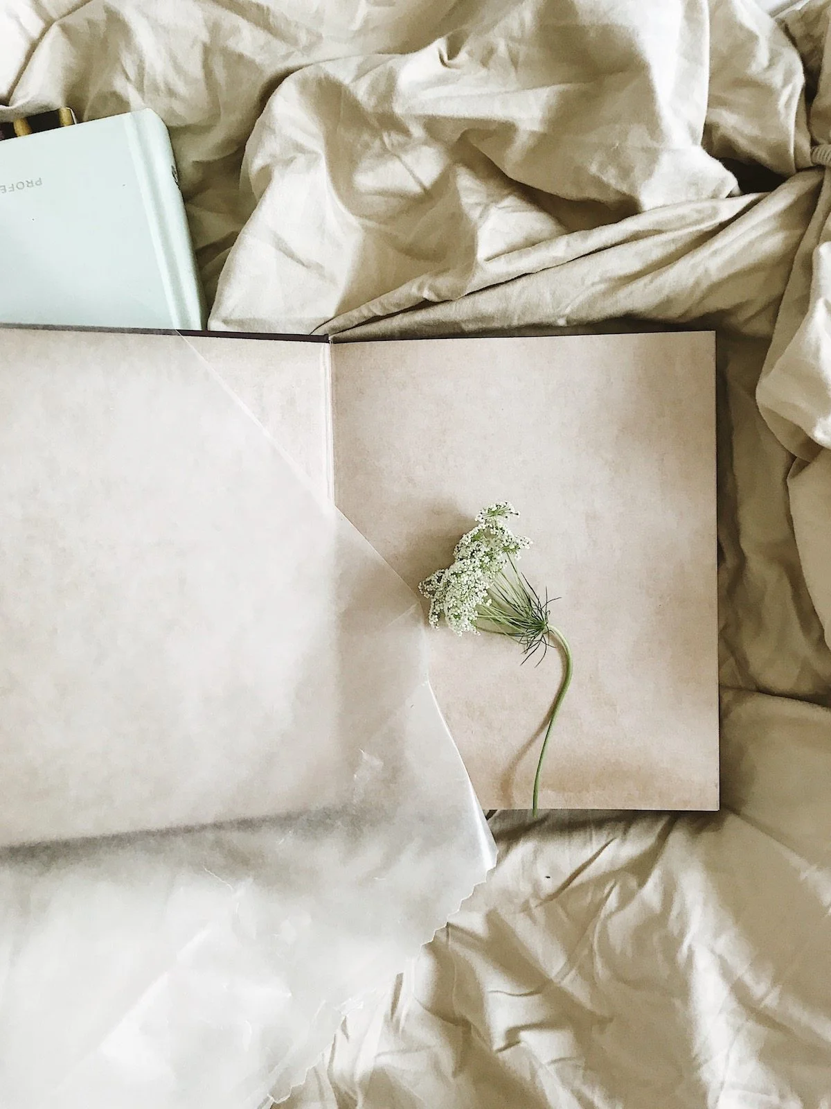 FEATURED-5-Artists-Who-Did-The-Unexpected...-And-Flourished.jpg