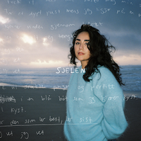 Screenshot 2026-02-11 at 15.47.04 copy.png