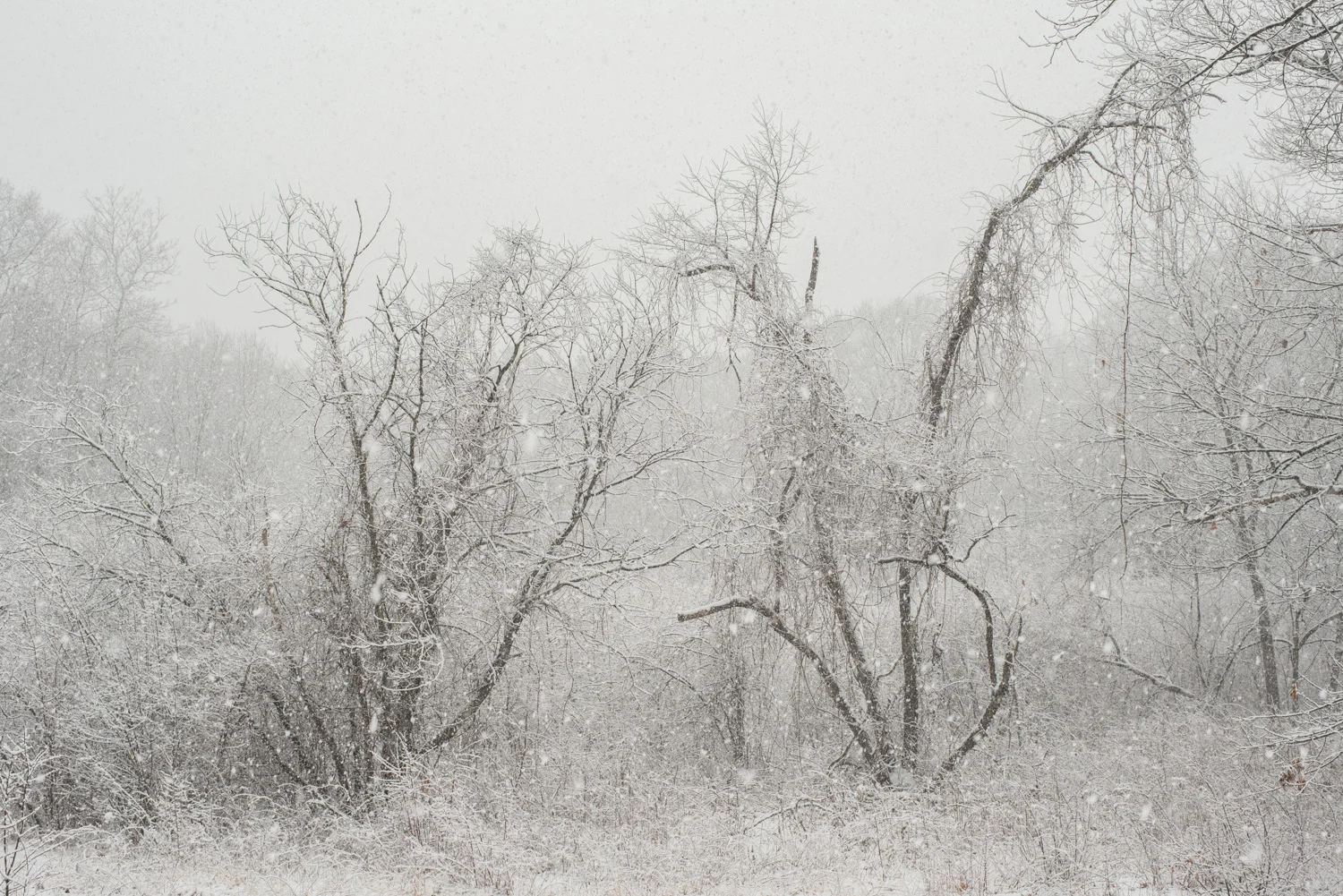 twb-winterpark-4.jpg