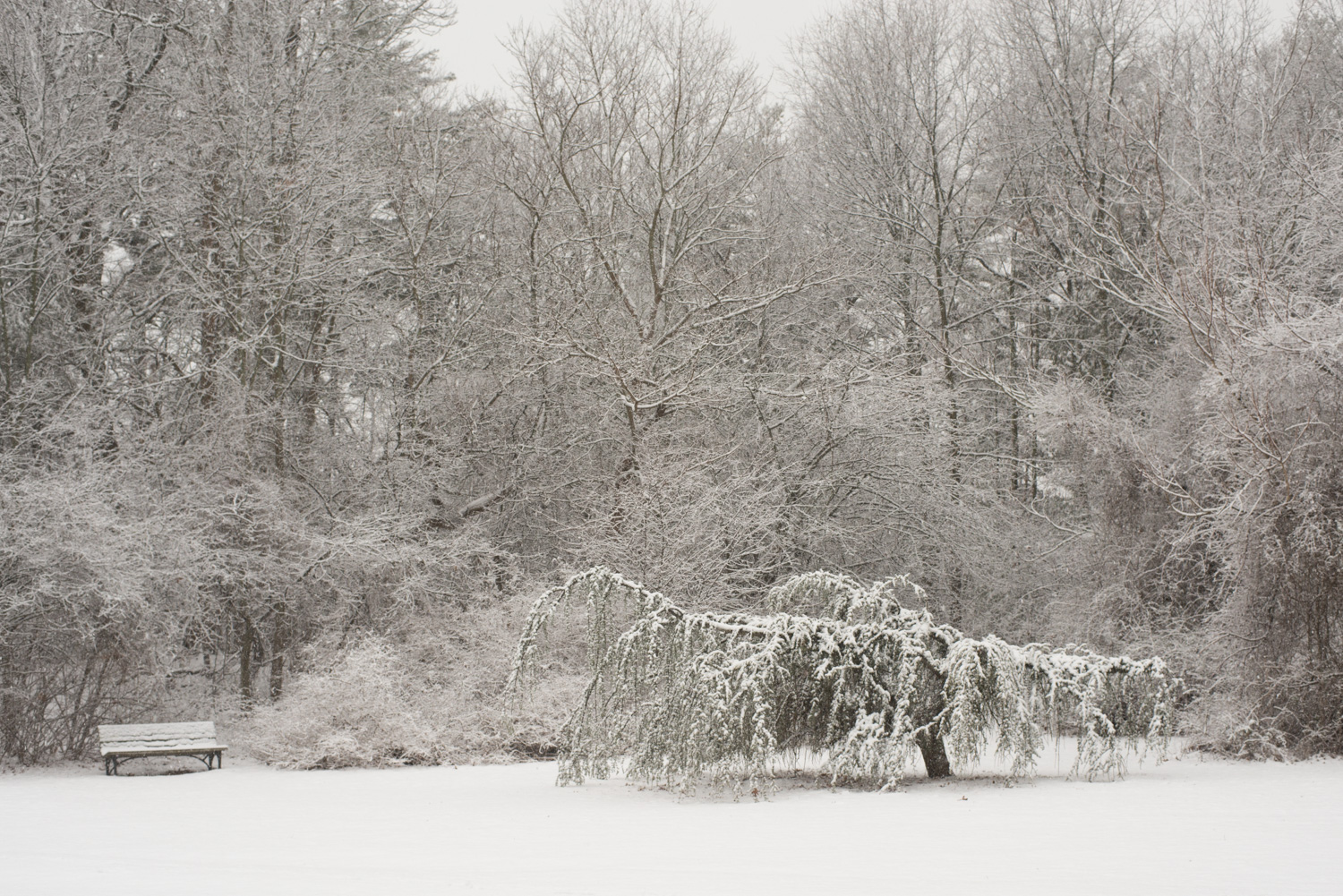 twb-winterpark-8.jpg