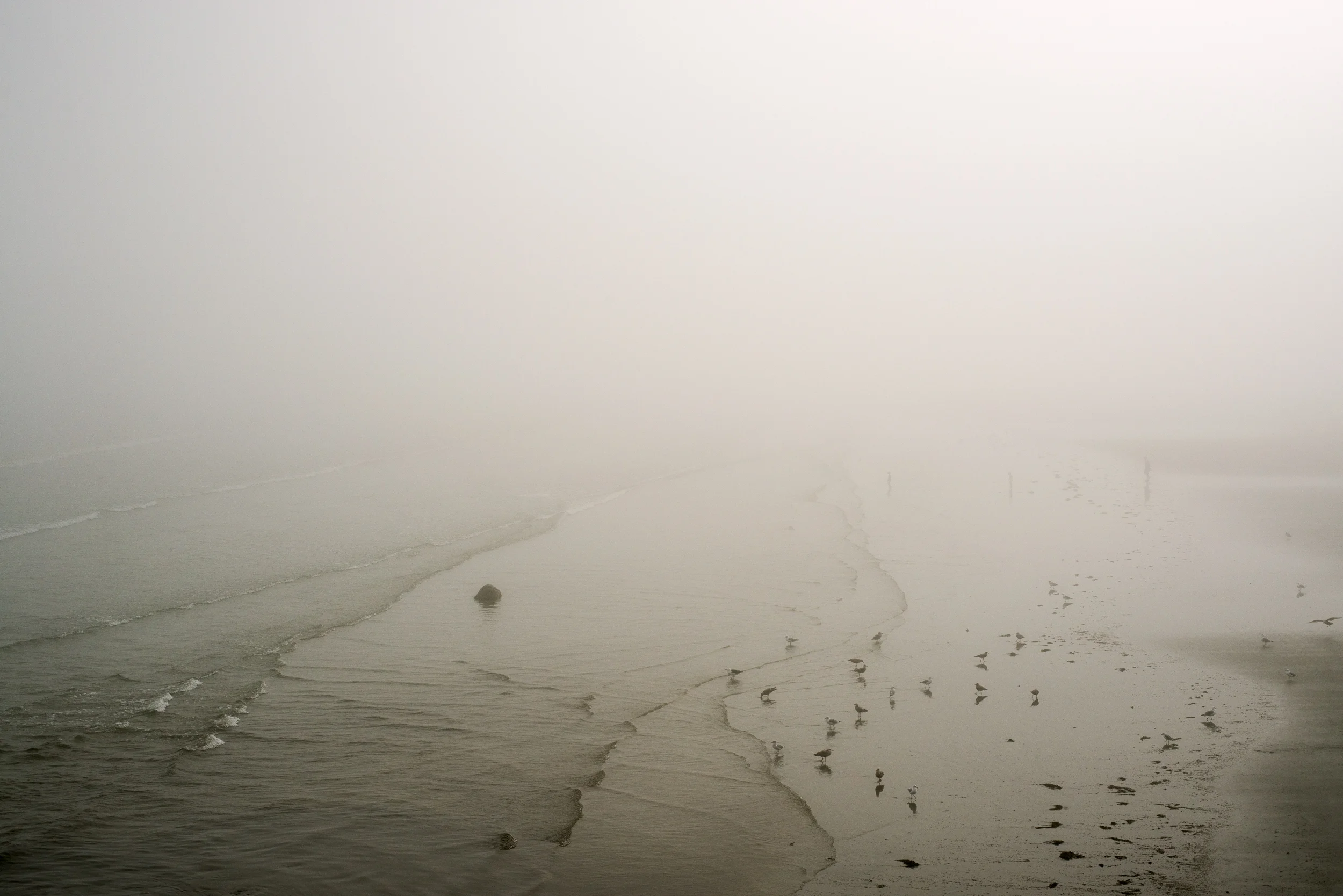Seaside Fog