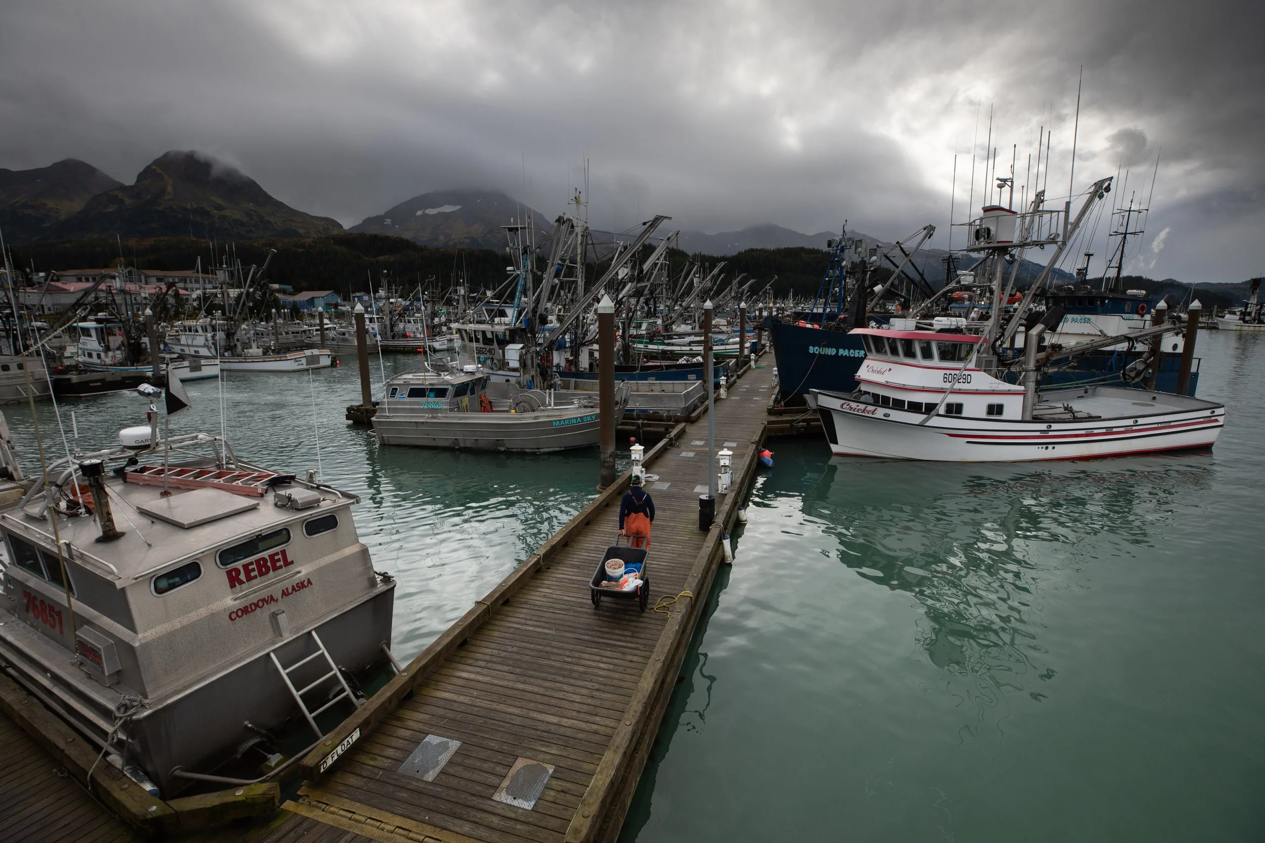The Fragile World of Prince William Sound