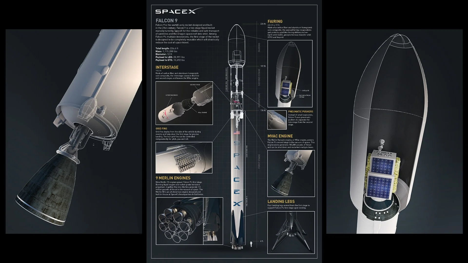 falcon_02.jpg