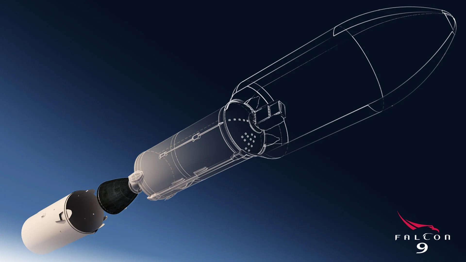 falcon_03.jpg
