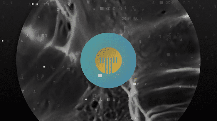 THERMAL Brand Overview-high-2.gif