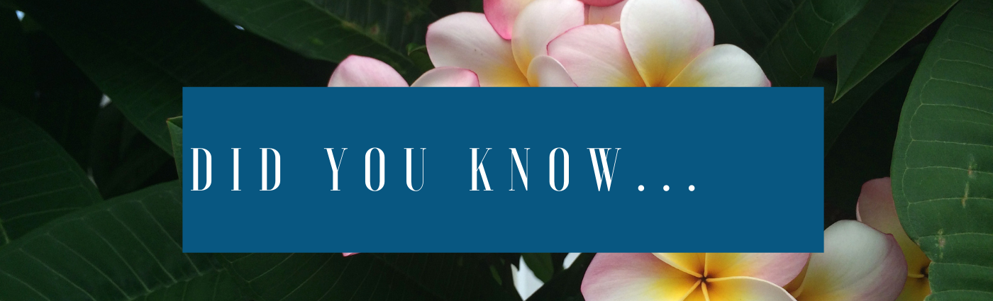 did you know.png