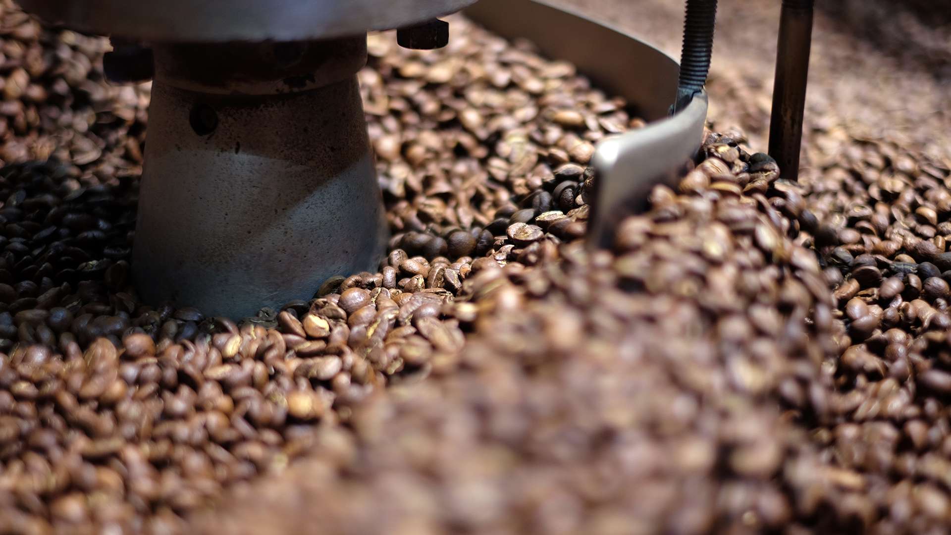 Lifestyle_Beans.jpg