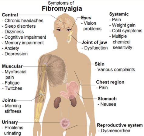 Boulder Fibromyalgia Treatment